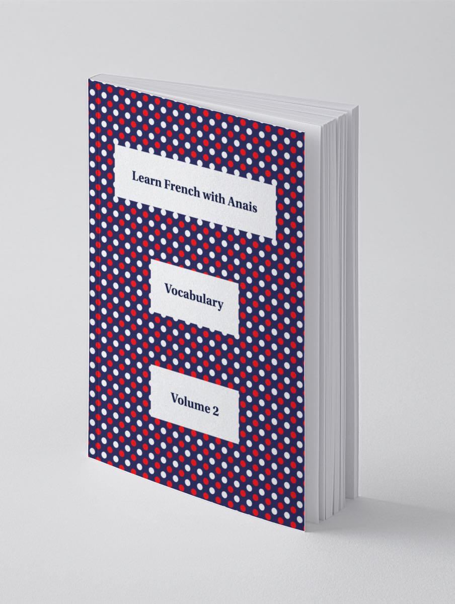 picture of the book vocabulary volume 2