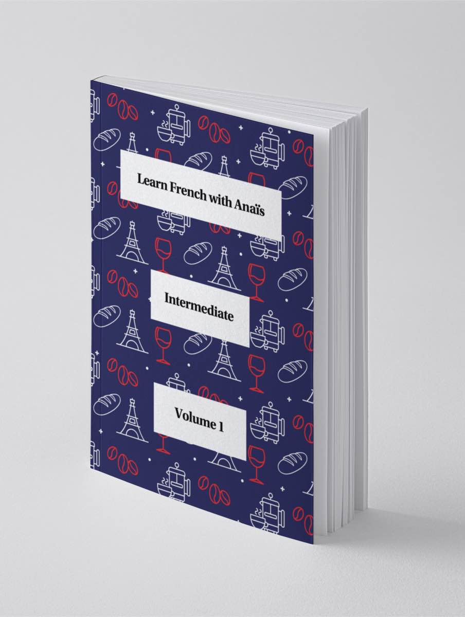 picture of the book intermediate volume 1